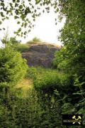 Melaphyrbrekzie bei Großörner nahe Hettstedt in Sachsen-Anhalt, (D) (7) 28.06.2015 Aufschluss 1 Hanganschnitte im Stockbachtal.JPG